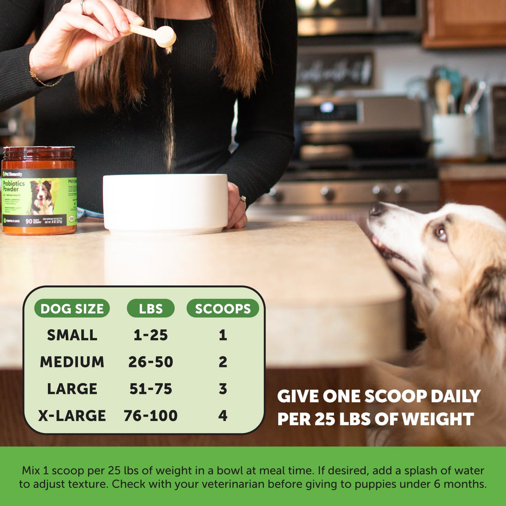 Probiotic-prebiotic-enzyme blend for overall gut balance and nutrient absorption.