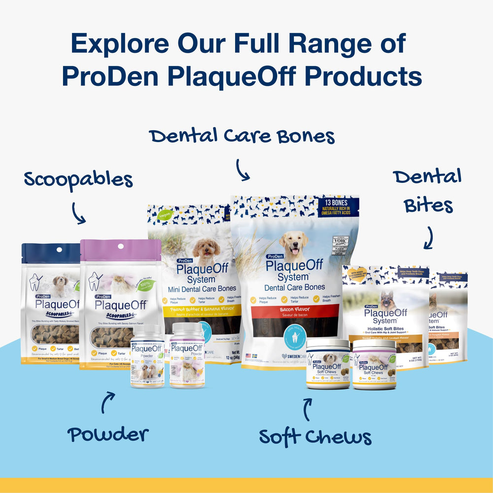 Daily routine with ProDen PlaqueOff for pets