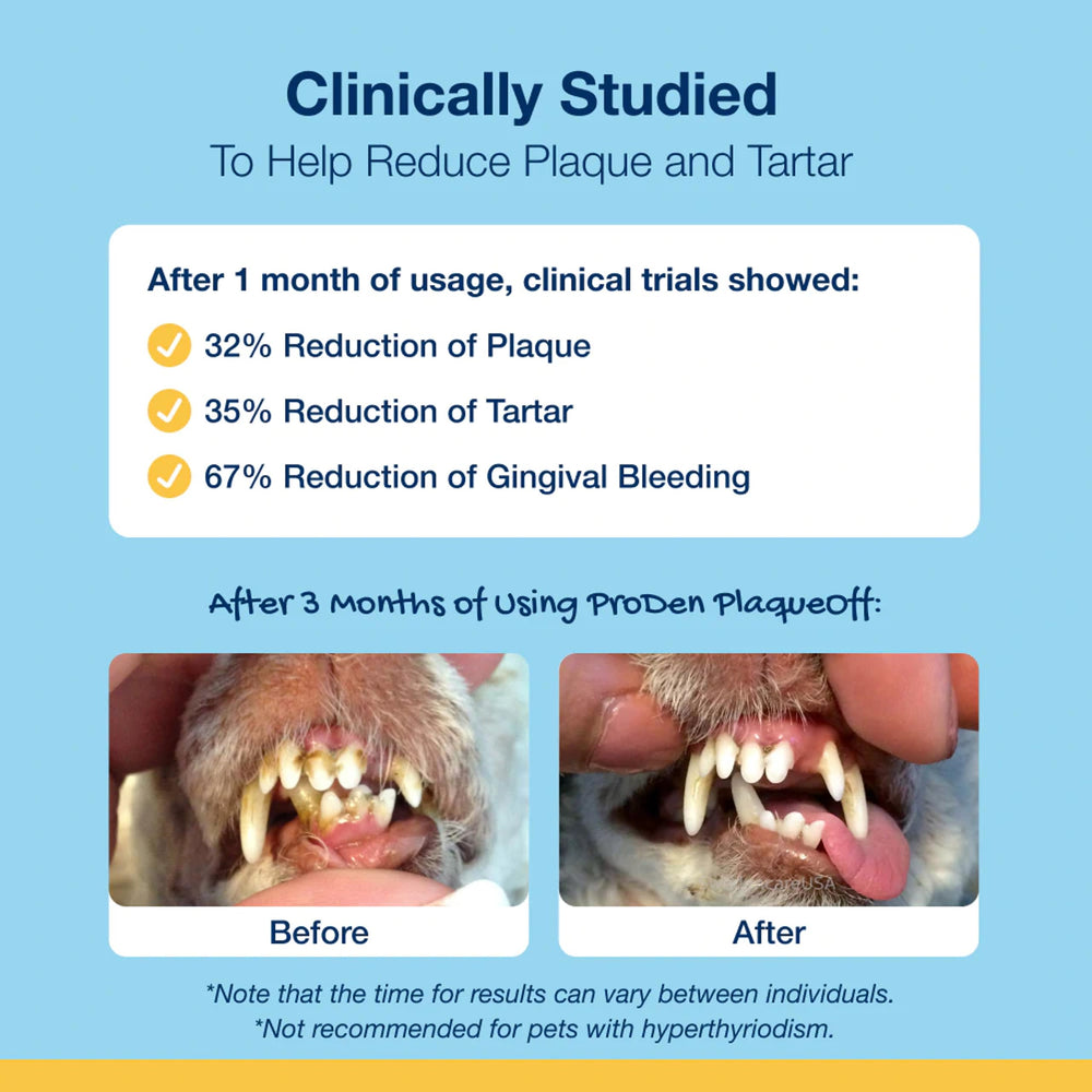 ProDen PlaqueOff powder used on pets demonstrates low-maintenance oral hygiene routine.