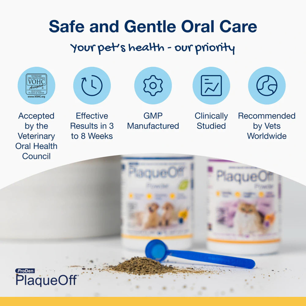 Scoop included with ProDen PlaqueOff for easy daily dosing.
