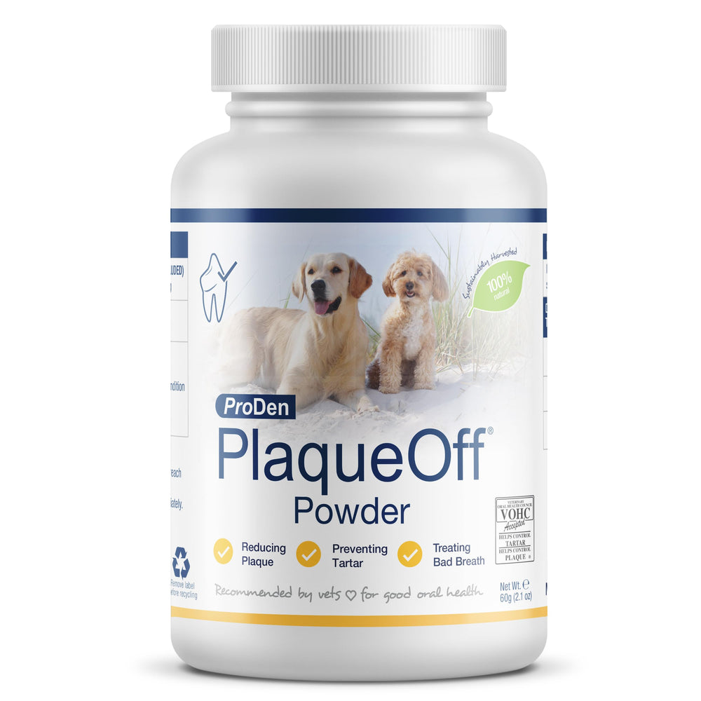 ProDen PlaqueOff powder tub close-up showing natural pet dental care