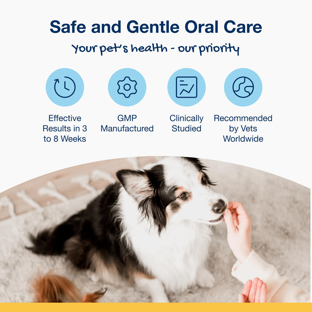 ProDen PlaqueOff Scoopables large-breed dental care bites for daily use