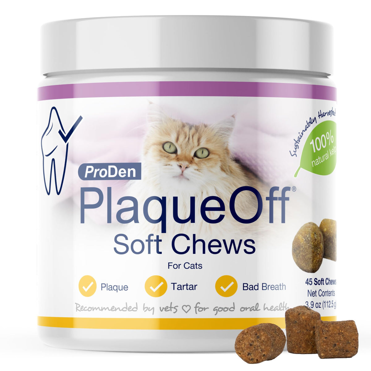 ProDen PlaqueOff soft chews bottle with kelp for cat dental care