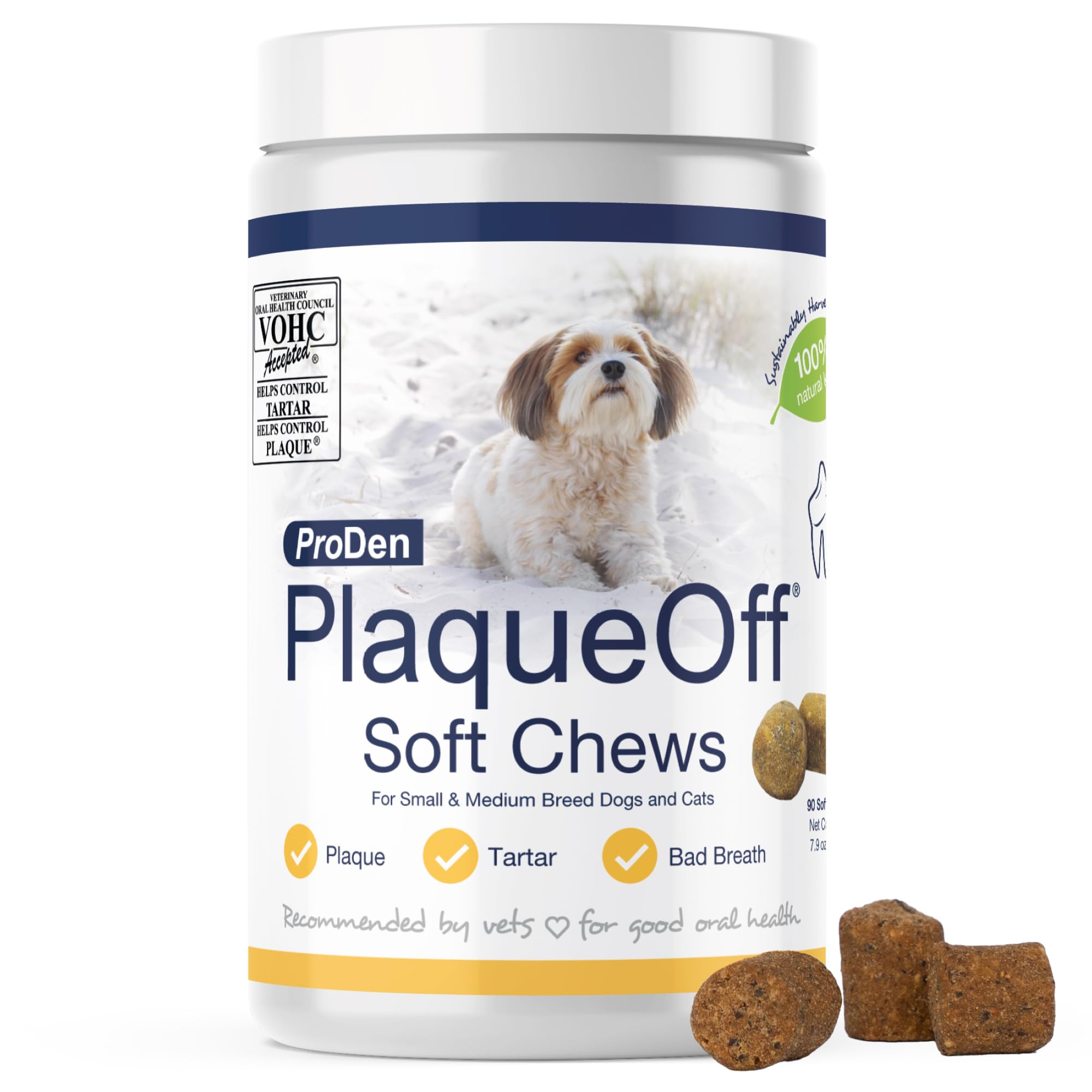 ProDen PlaqueOff Soft Chews packaging front with natural kelp, highlighting dental support.