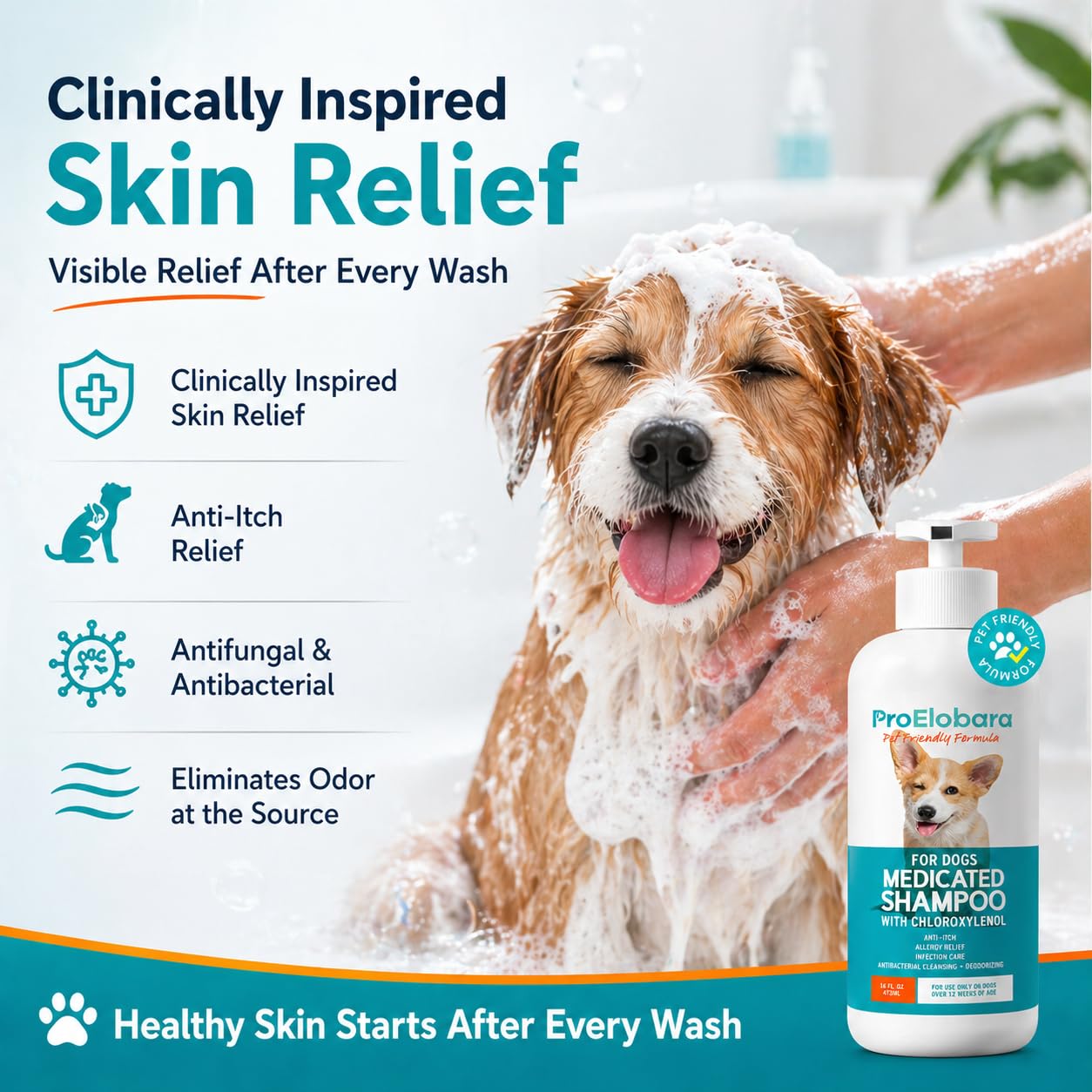 ProElobara dog shampoo hot spots relief close-up for calmer skin.