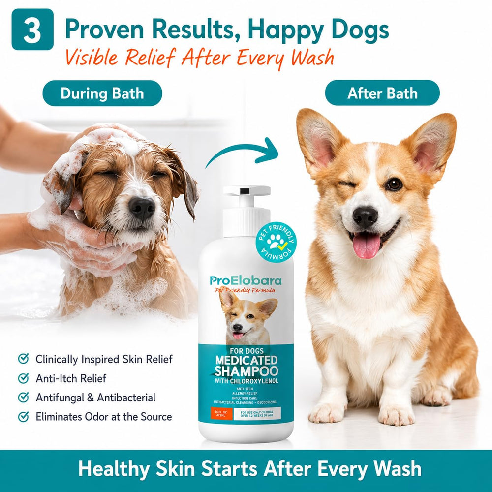 ProElobara gentle clean formula safe for all breeds and coats.