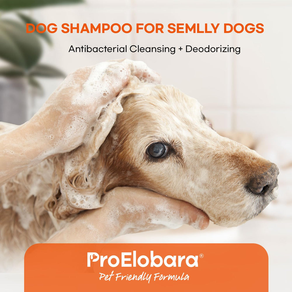 ProElobara yeast infection control helps deodorize and balance skin.