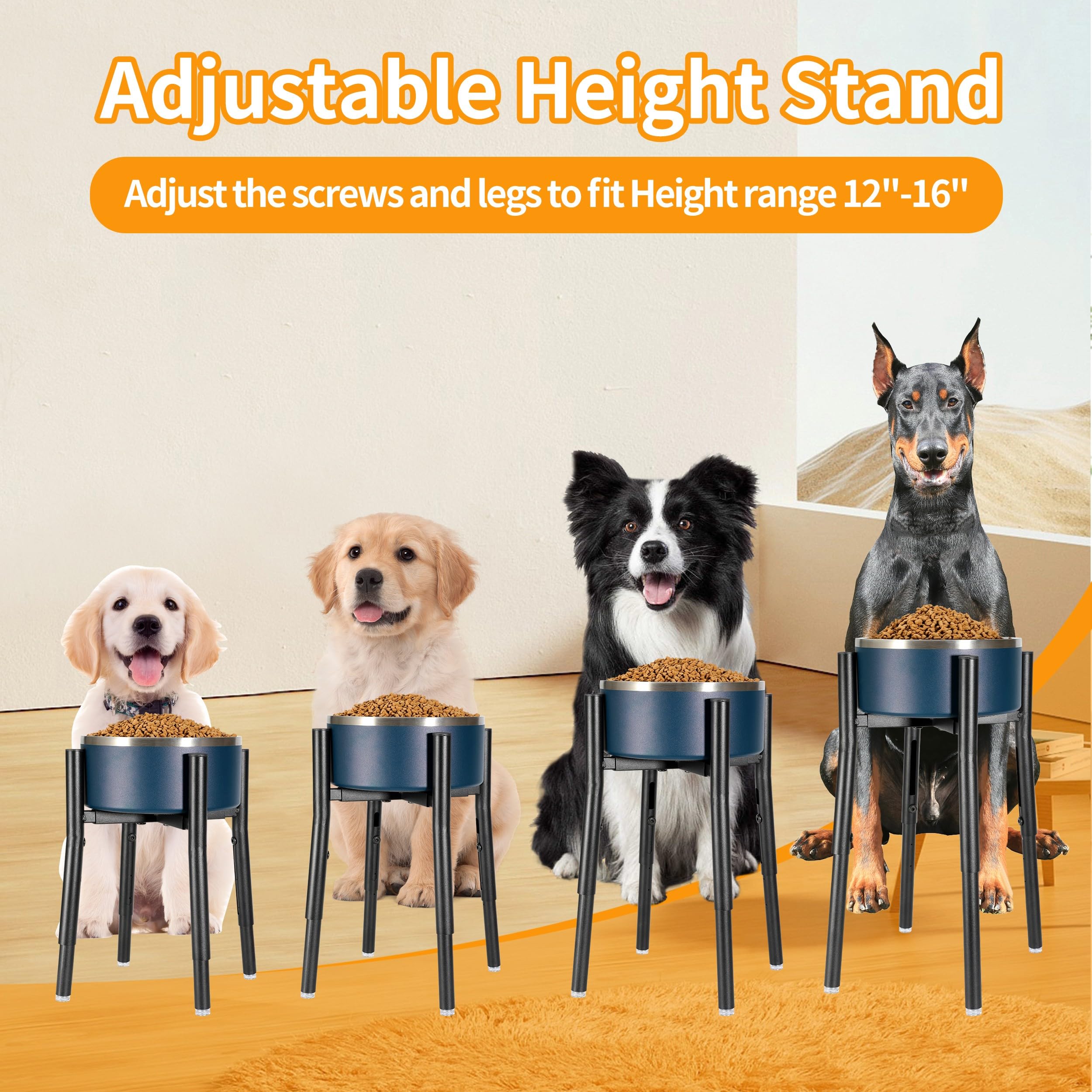 PROERR height adjustable stand offers comfortable meals for dogs
