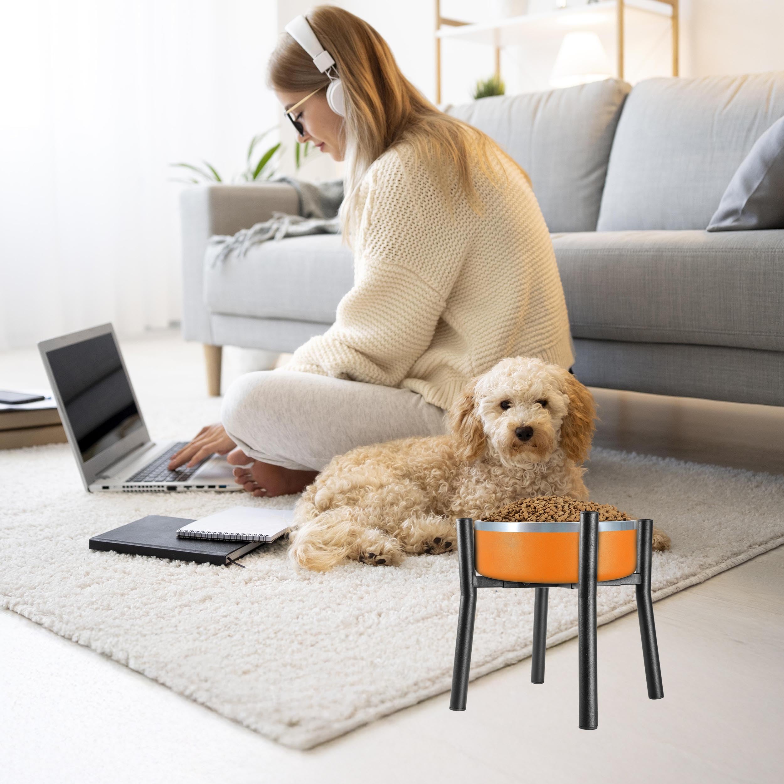 PROERR Lifted Dog Bowl Stand after-sales support available within 48 hours