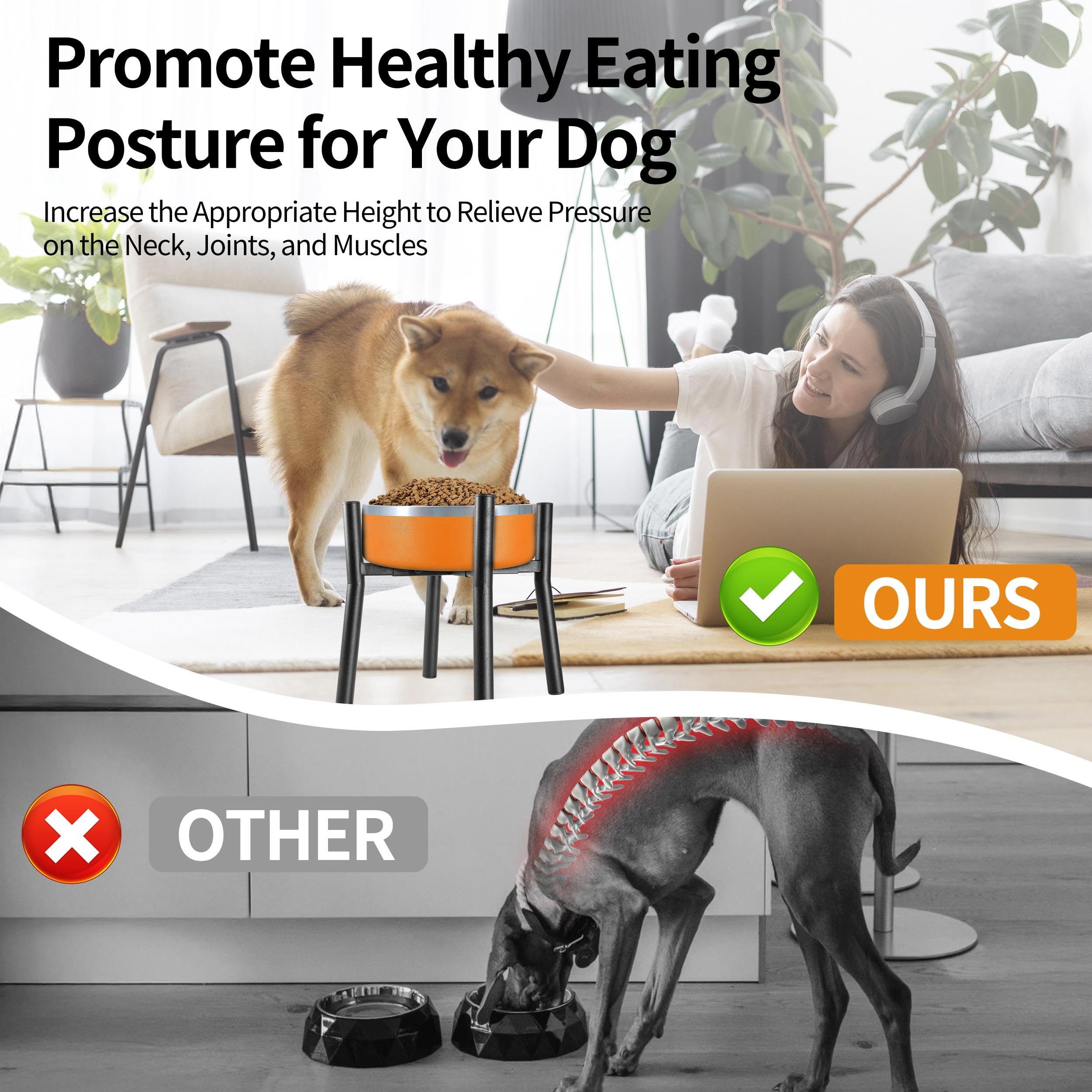 PROERR Lifted Dog Bowl Stand easy assembly with included tools and screws