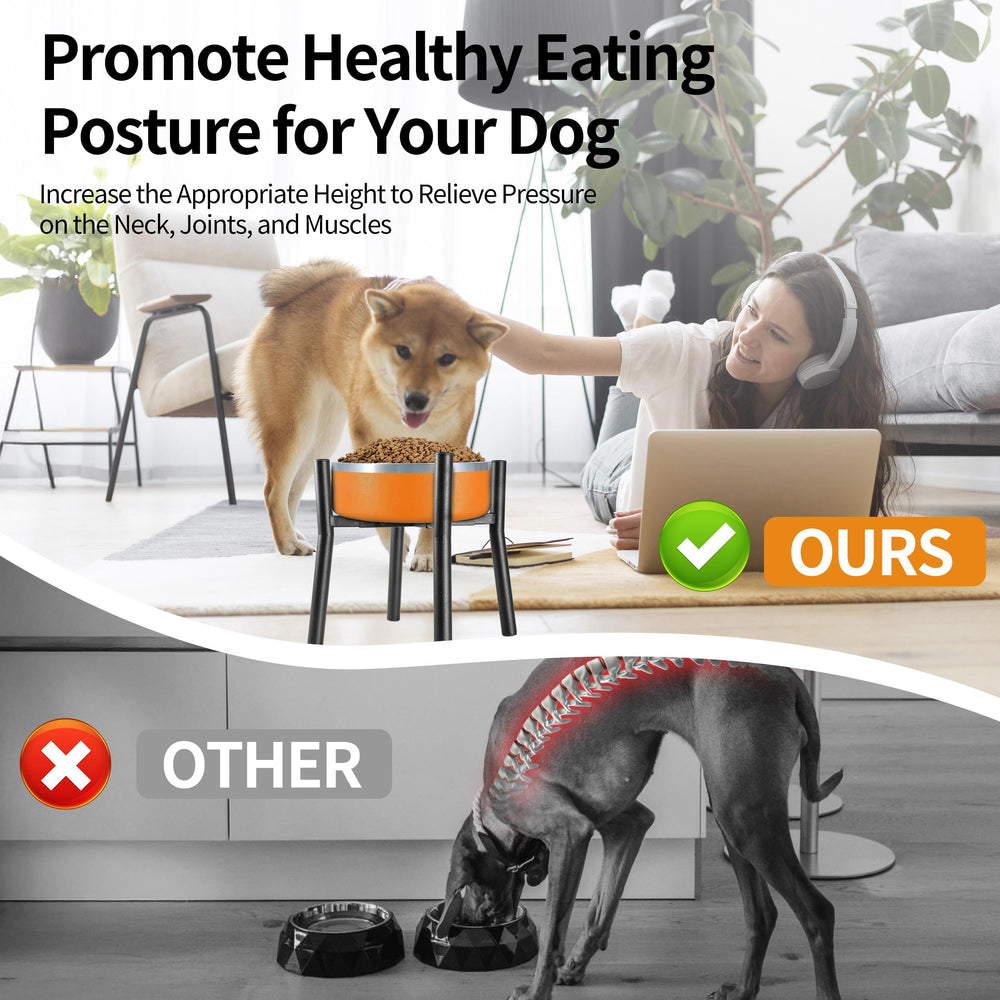 PROERR Lifted Dog Bowl Stand easy assembly with included tools and screws