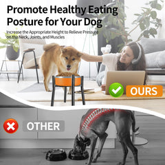 PROERR Lifted Dog Bowl Stand easy assembly with included tools and screws