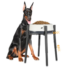 PROERR raised dog bowl stand with adjustable height for medium to large dogs.