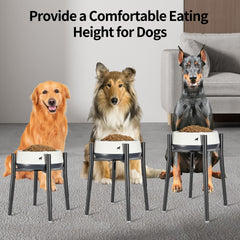 PROERR raised stand features rust-proof surface and easy cleaning.