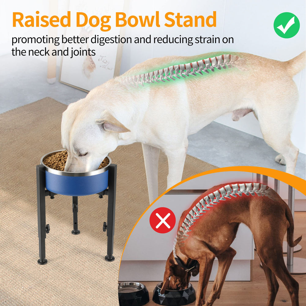 PROERR 14.5 inch stand height shown for tall pets' comfort.