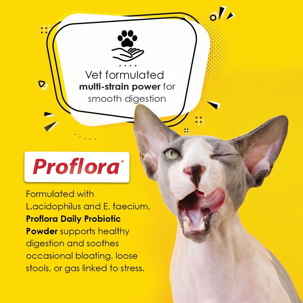 Proflora cat meal mixing and stirring into food for steady support