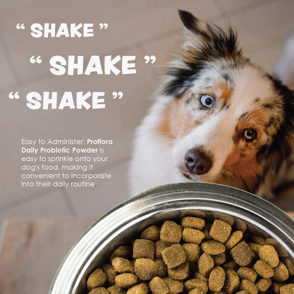 Proflora designed for dogs of all sizes during everyday meals