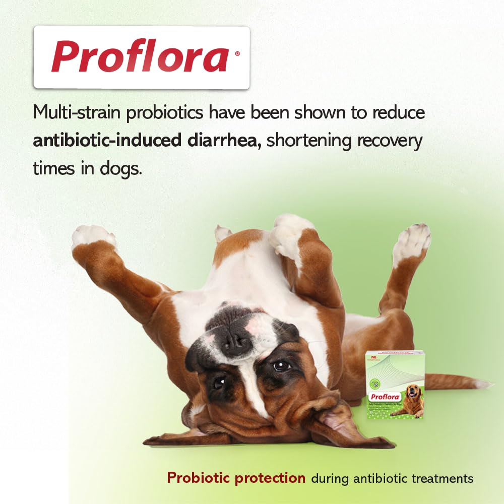 Globally sourced ingredients with domestic manufacturing assurance