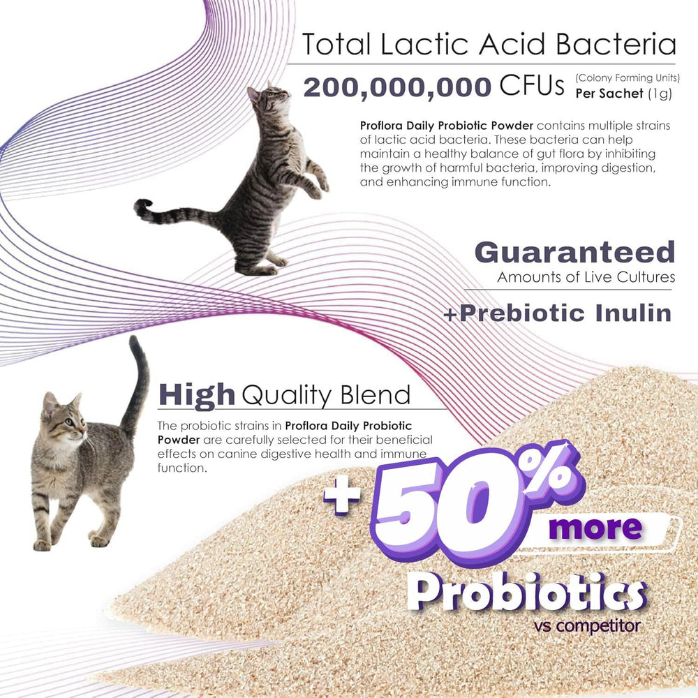 Proflora immune and gut health benefits support overall feline wellness