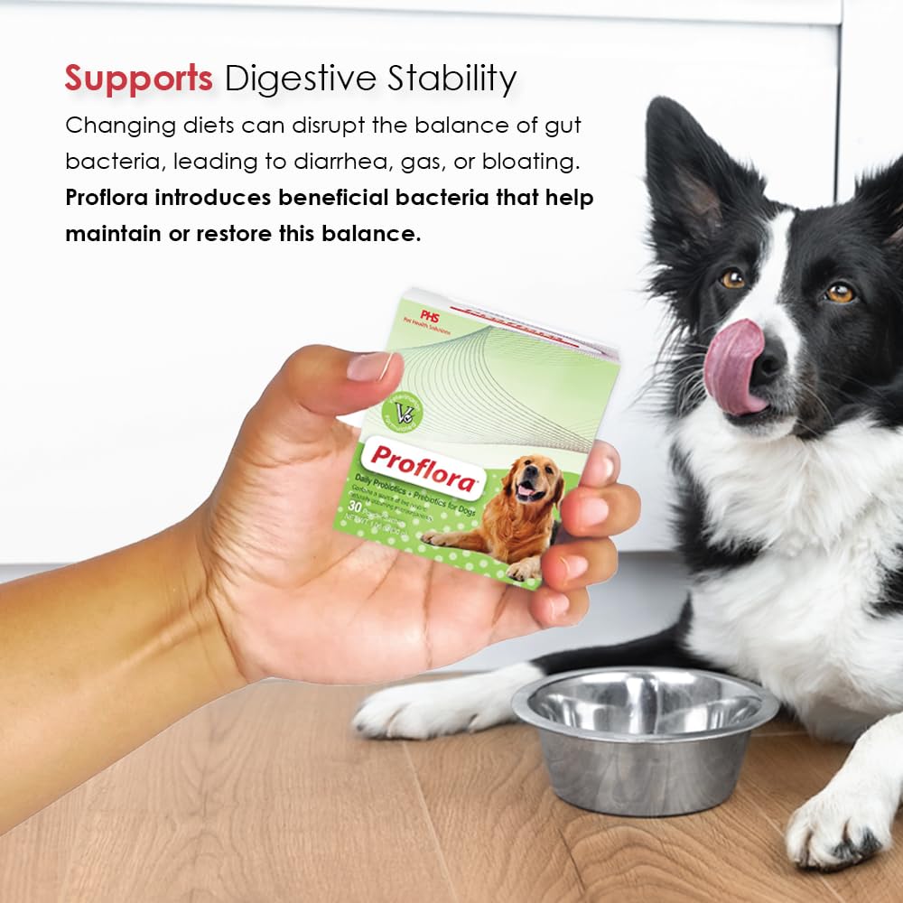 Proflora supports immune health for dogs of all sizes