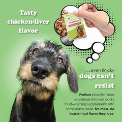 Powder sachet poured into dog food for meal-time support