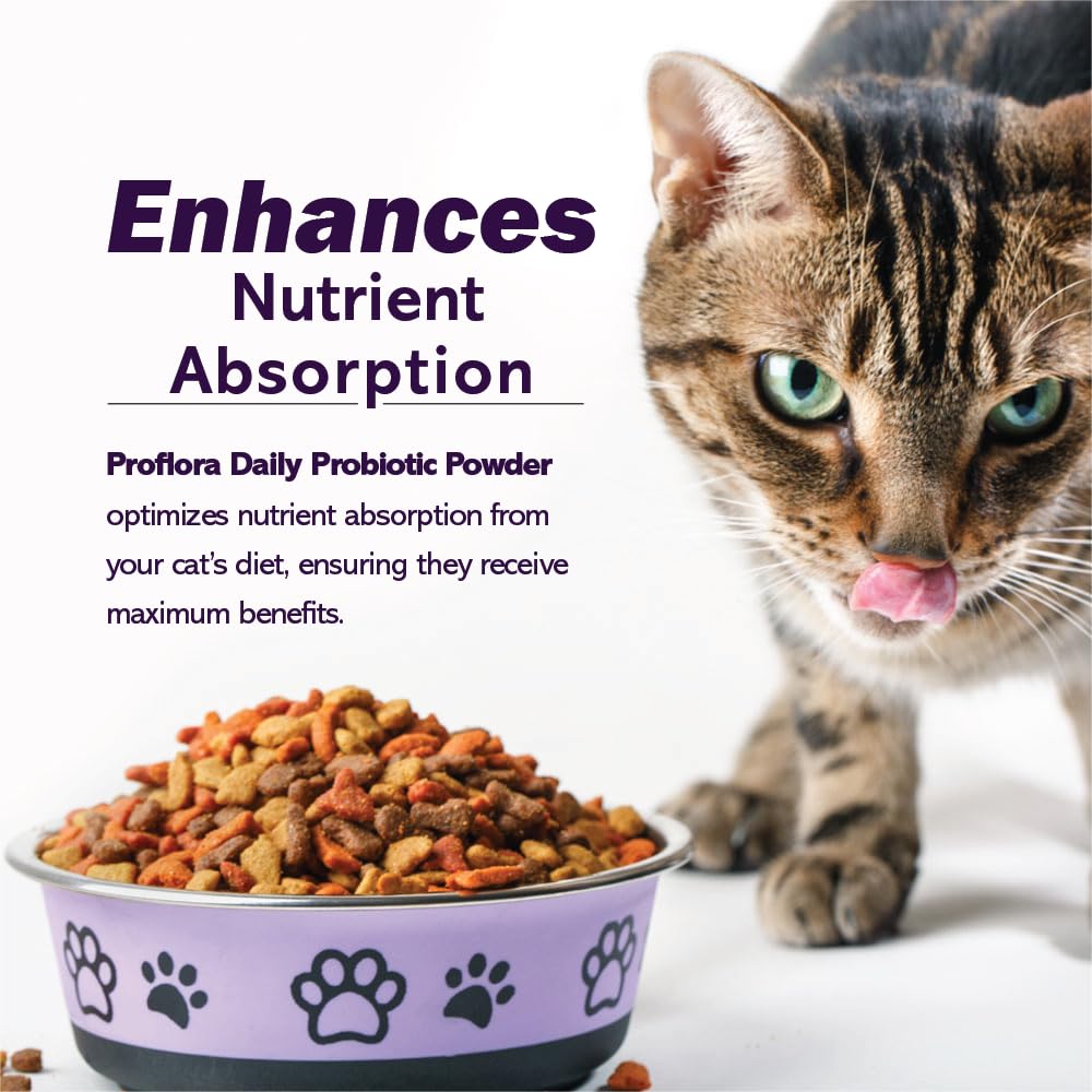 Proflora probiotic powder-dry-wet-food mix blends into cat meals