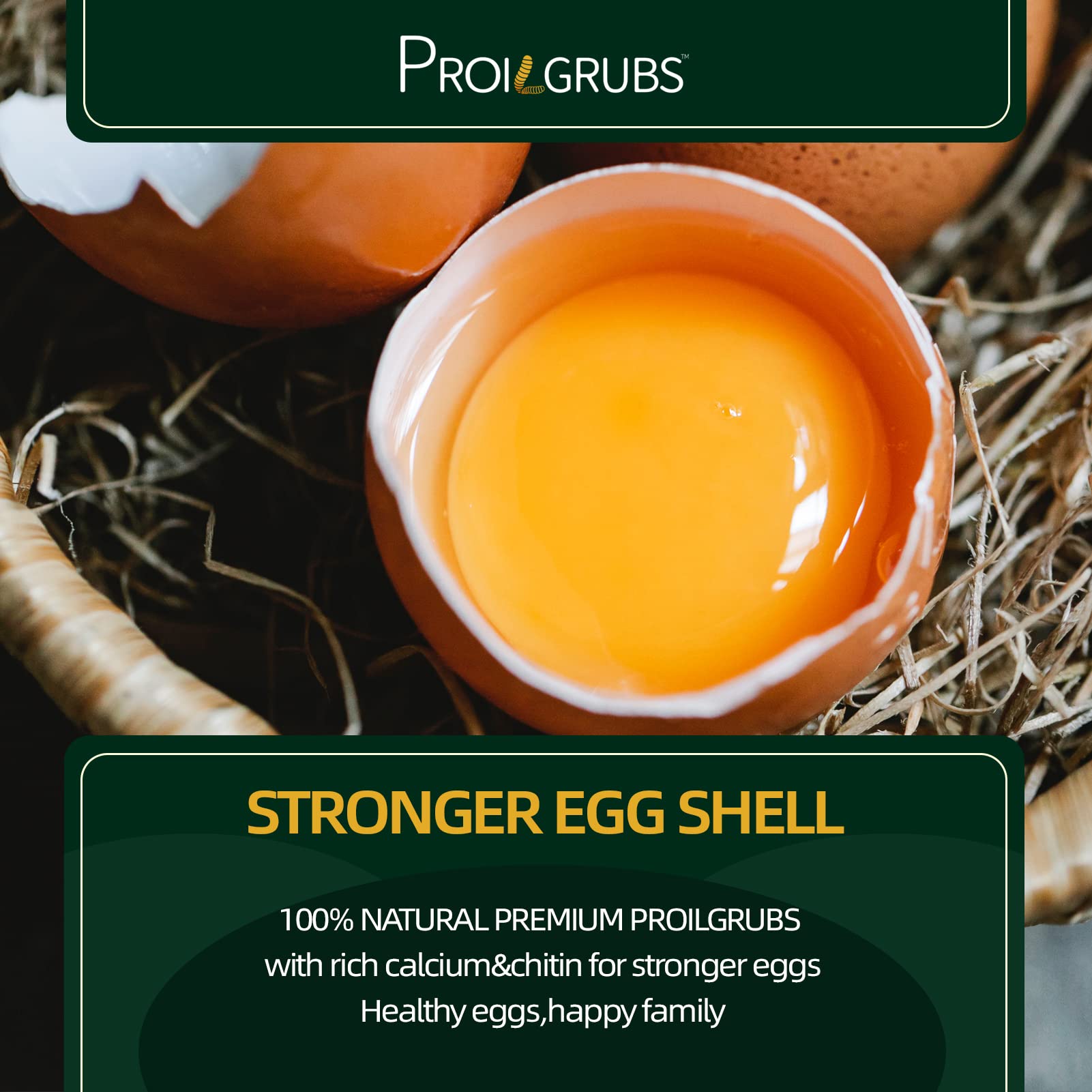 PROILGRUBS BSFL processed without additives ensures safe, traceable quality.