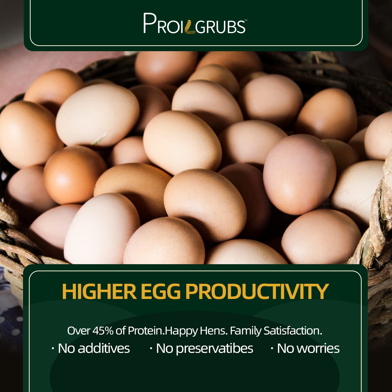 PROILGRUBS BSFL calcium-rich treats strengthen egg shells for laying hens.