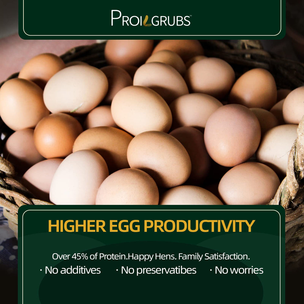 PROILGRUBS BSFL calcium-rich treats strengthen egg shells for laying hens.