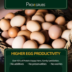 PROILGRUBS BSFL calcium-rich treats strengthen egg shells for laying hens.