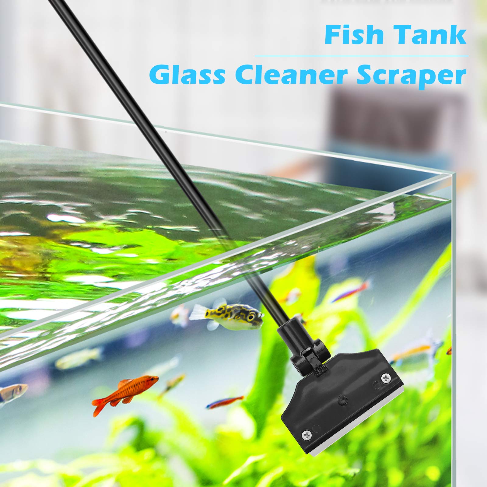Pronetcus Scraper features a rust-proof stainless steel handle for reliable grip.