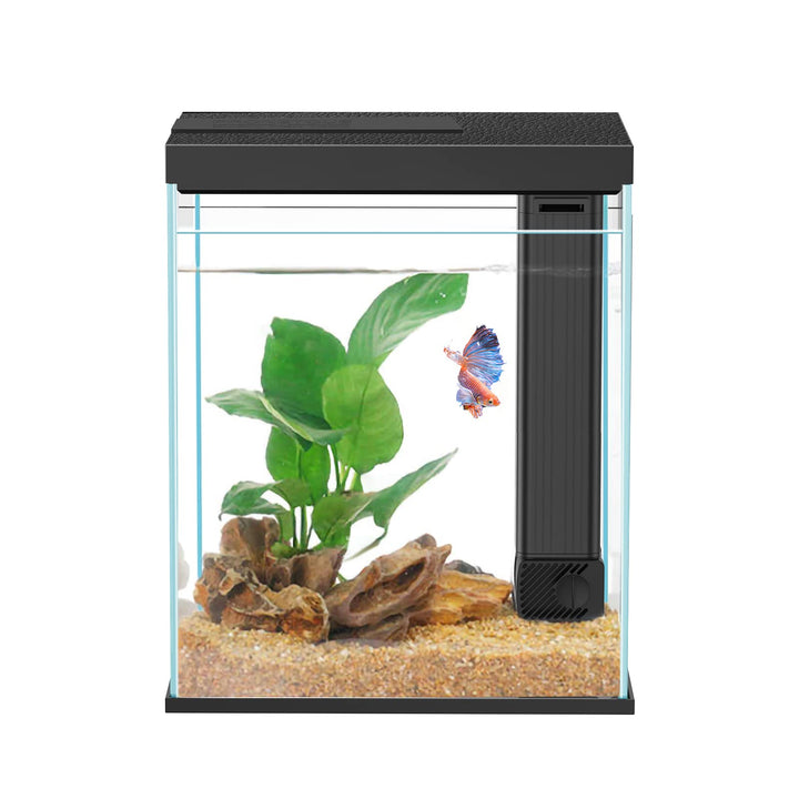 Pronetcus Betta Tank 2gal glass front view for easy observation.