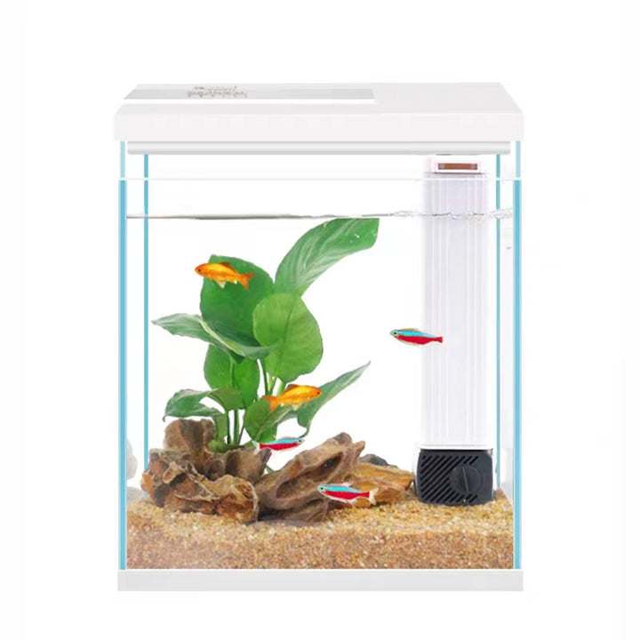 Pronetcus Betta Tank front view with crystal-clear glass for clear viewing.
