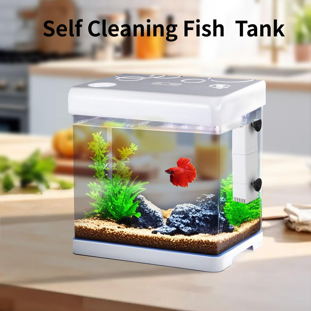 Pronetcus small fish tank 5-gallon ready habitat for betta and plants