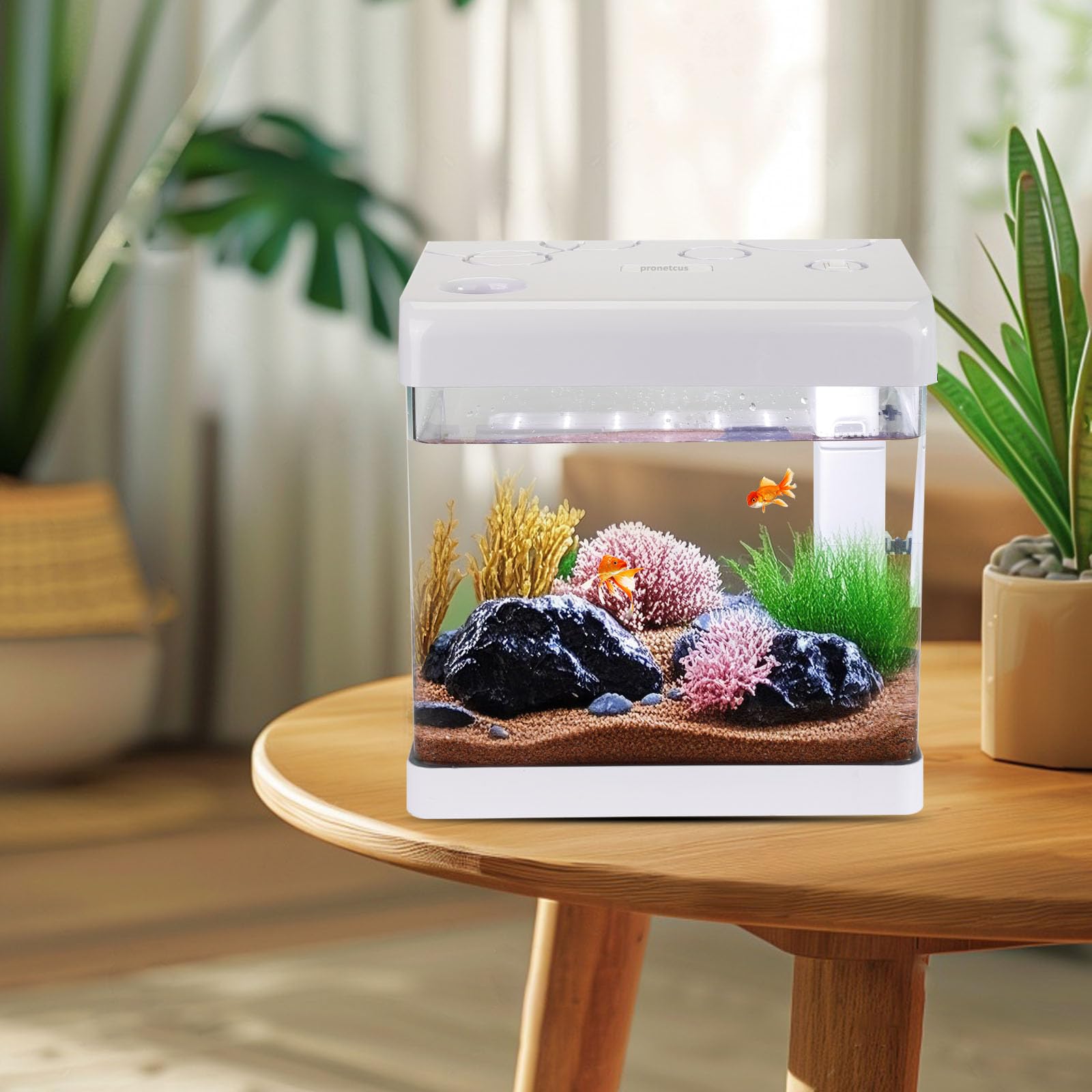 Pronetcus small fish tank 5-gallon built-in filter and LED for clear water
