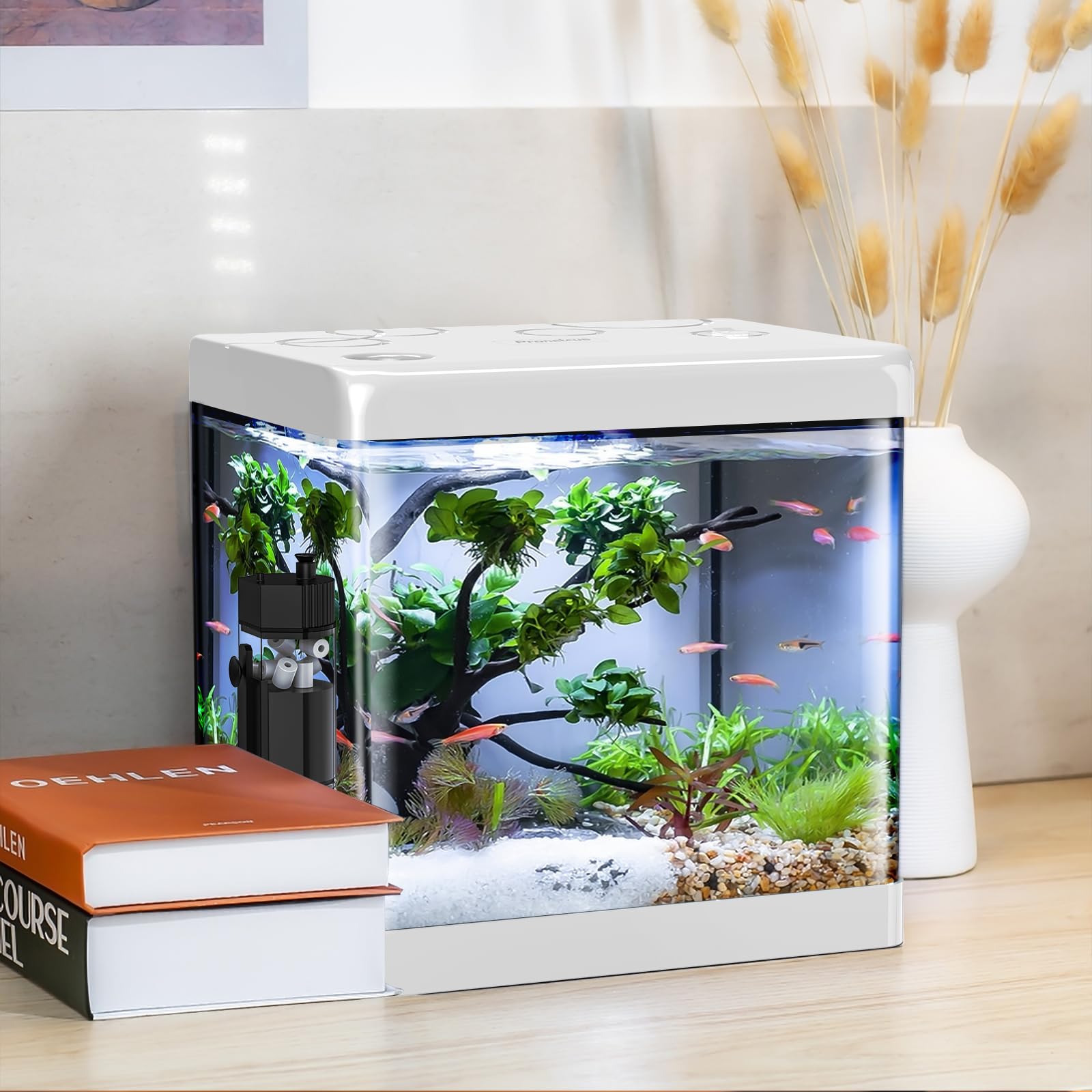 Pronetcus small fish tank 5-gallon glass tank for clear desk viewing