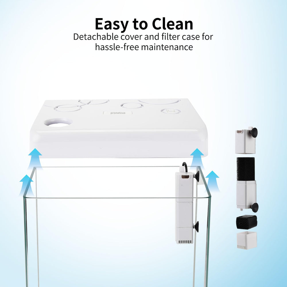 Pronetcus small fish tank 5-gallon removable cover makes cleaning easy