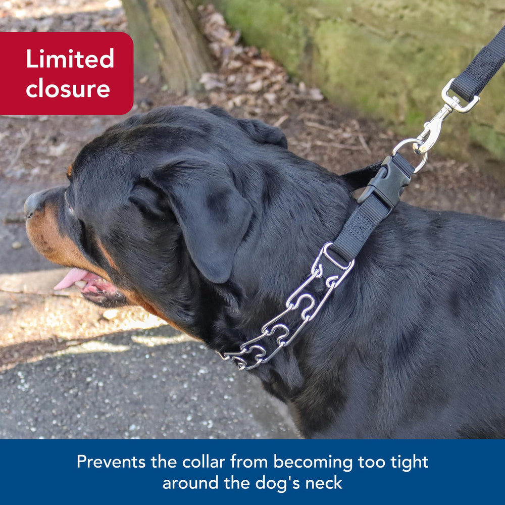 Prong collar pressure distribution image suggests even correction and neck safety.