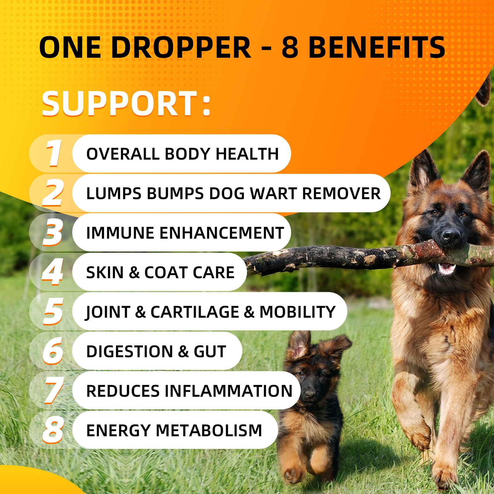 ProPetail turkey tail 3000mg label highlighting immune support