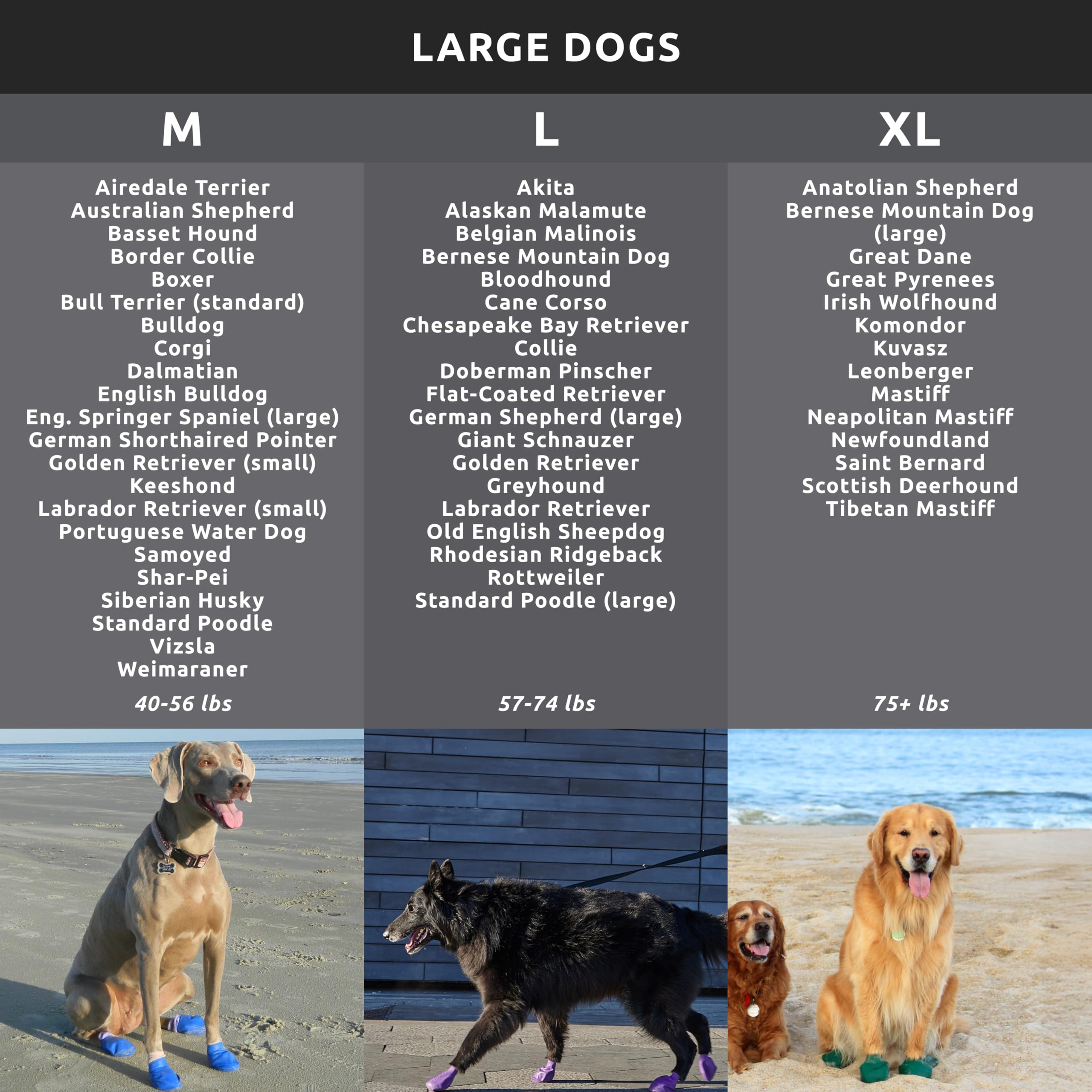 Protex PawZ rubber dog booties providing reliable grip on slick surfaces