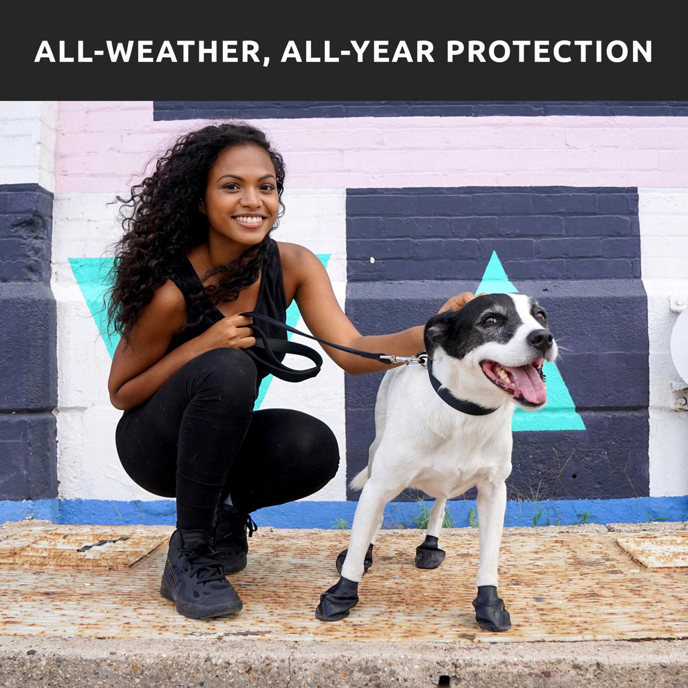 Protex PawZ black dog boots blend with fur while protecting paws.