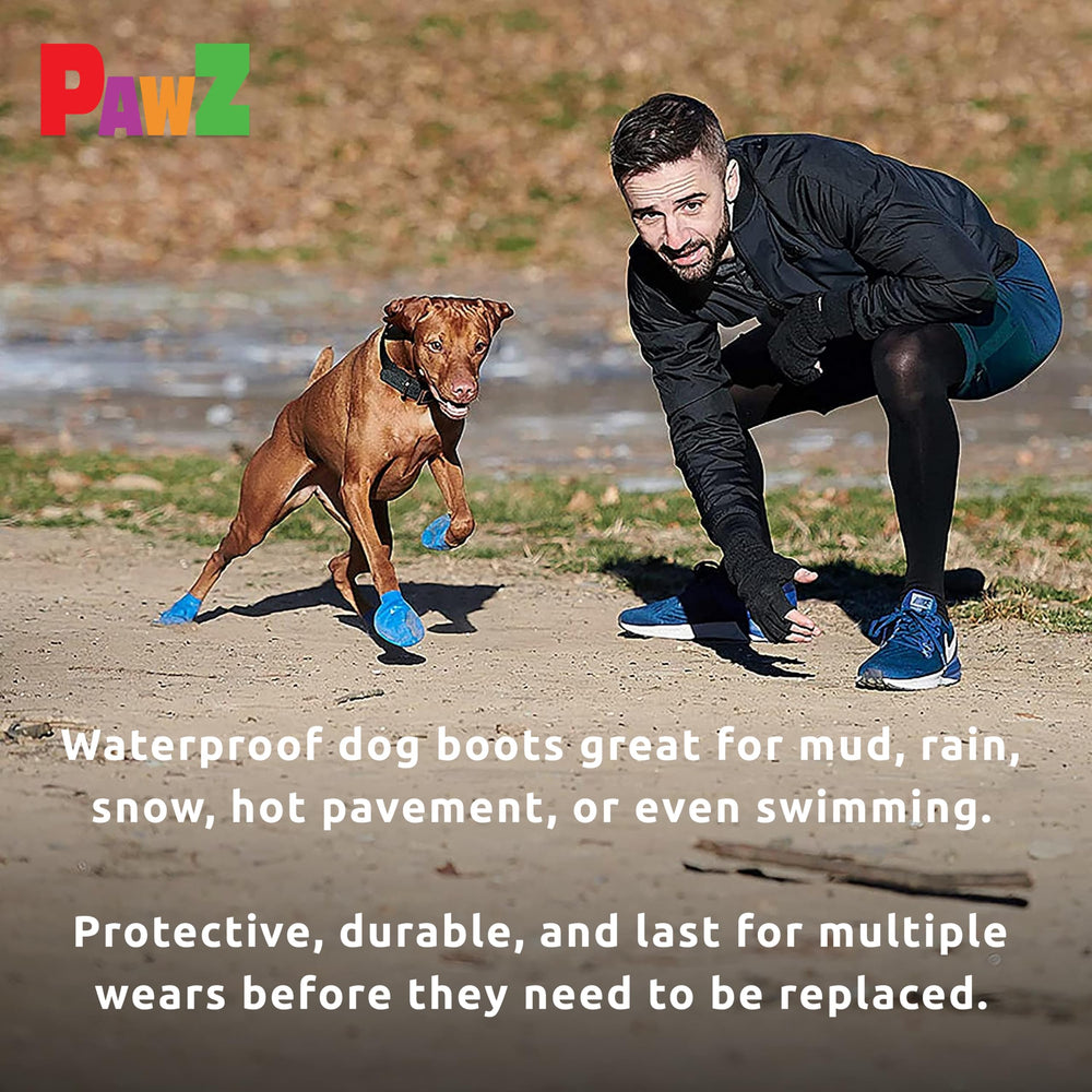Protex PawZ pack of 12 blue boots, ready for frequent outings.