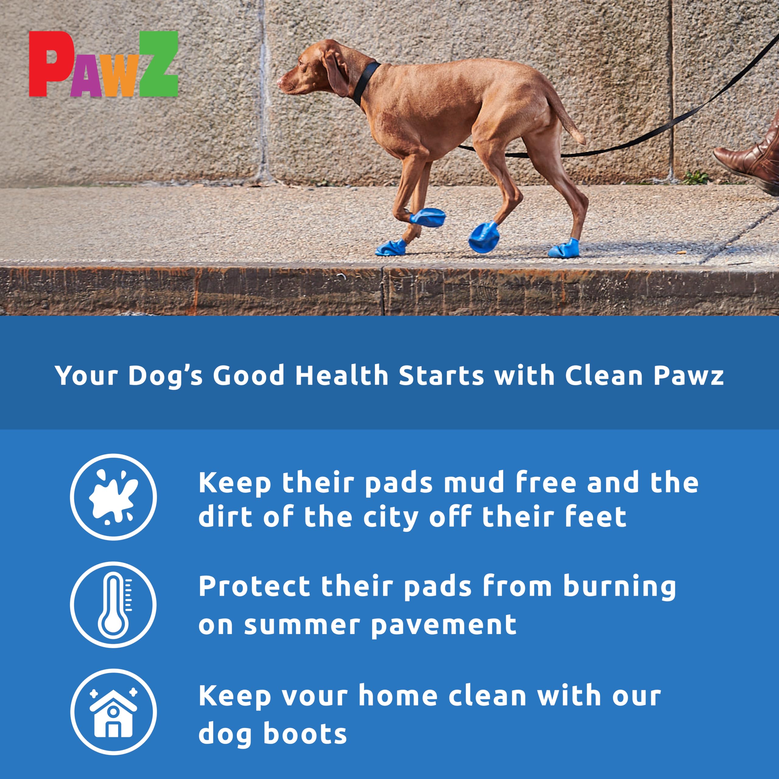 Pull-on design of Protex PawZ blue booties for easy on/off