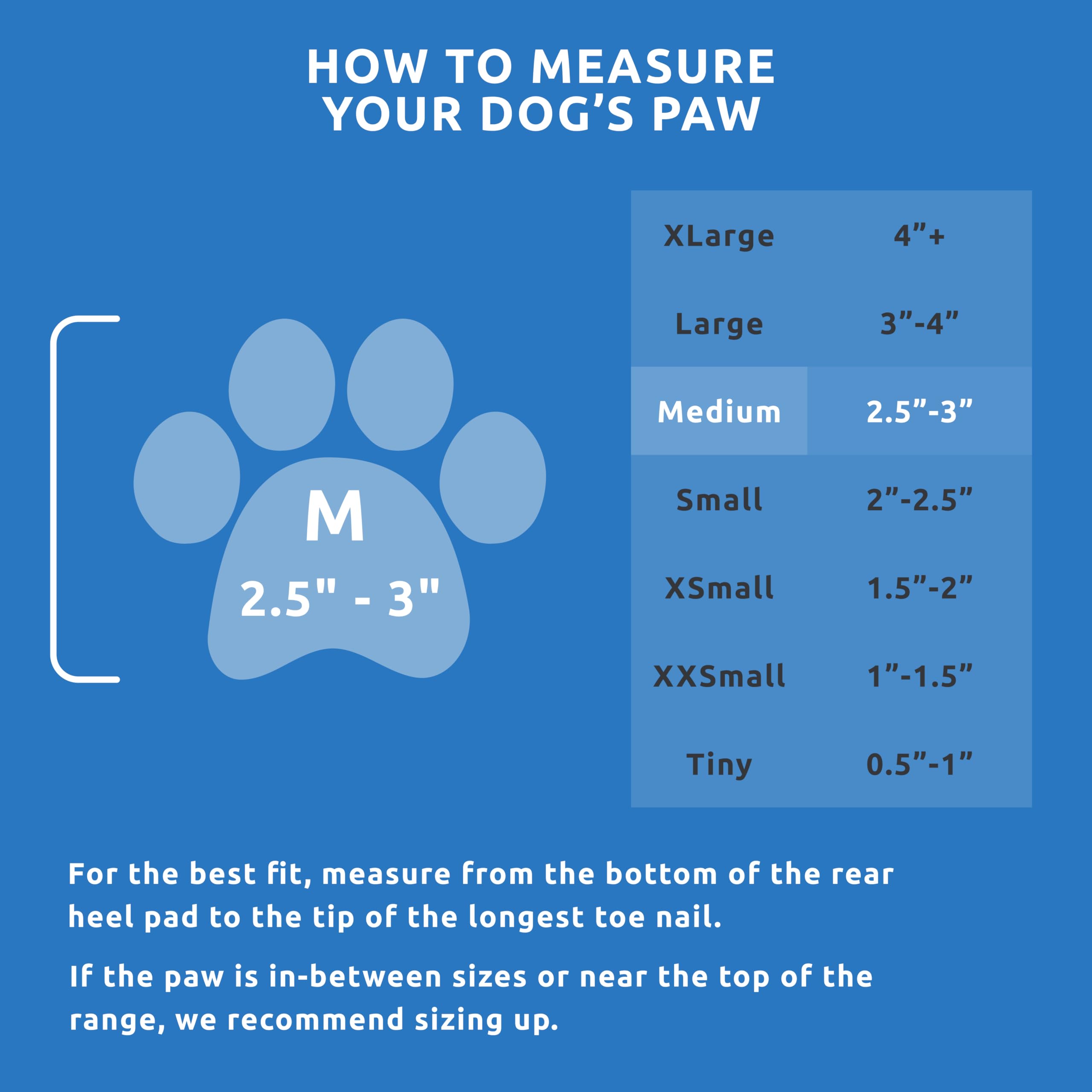 Dog wearing Protex PawZ blue booties during an outdoor walk on a trail