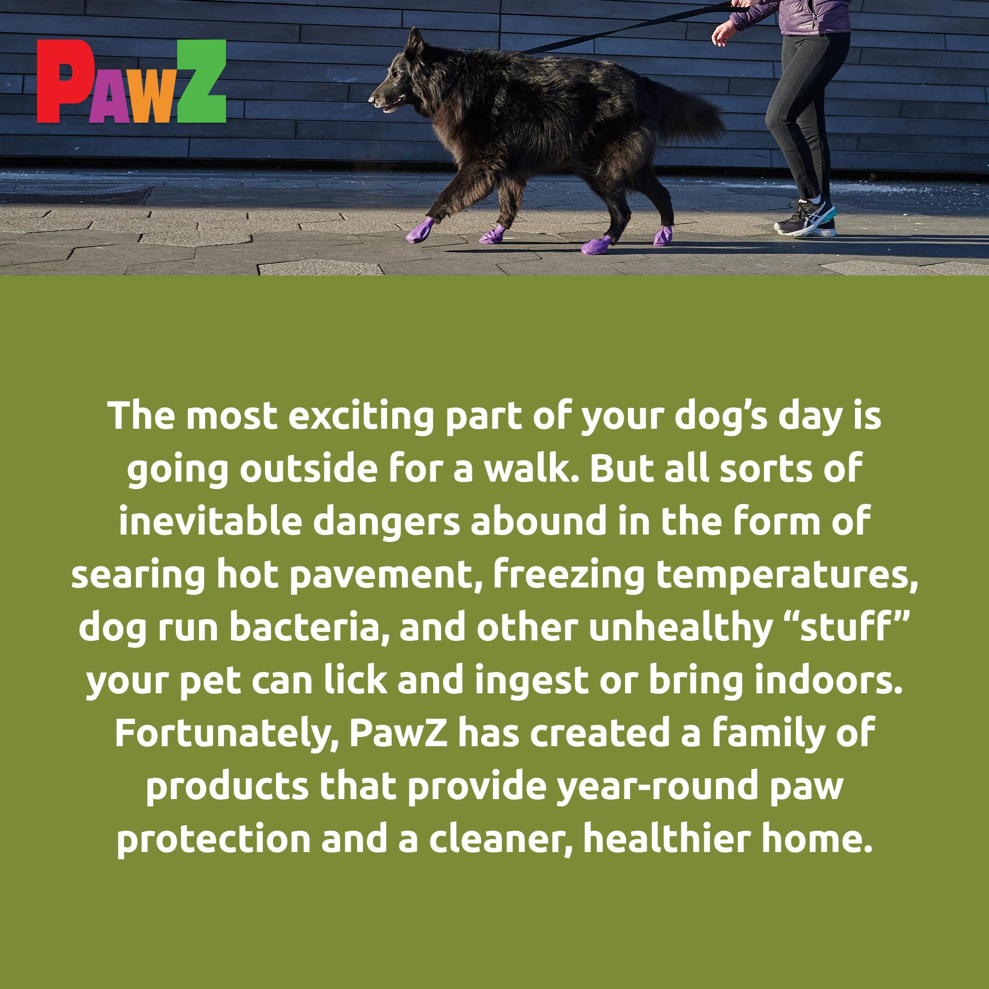 Protex PawZ boots on pavement during heat exposure.