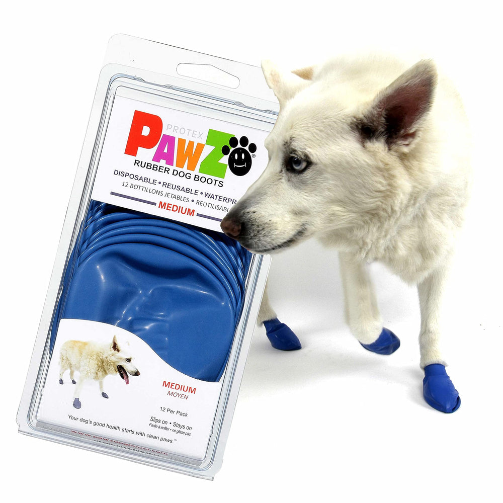Protex PawZ rubber dog boots blue, front view, all-weather protection for medium paws.