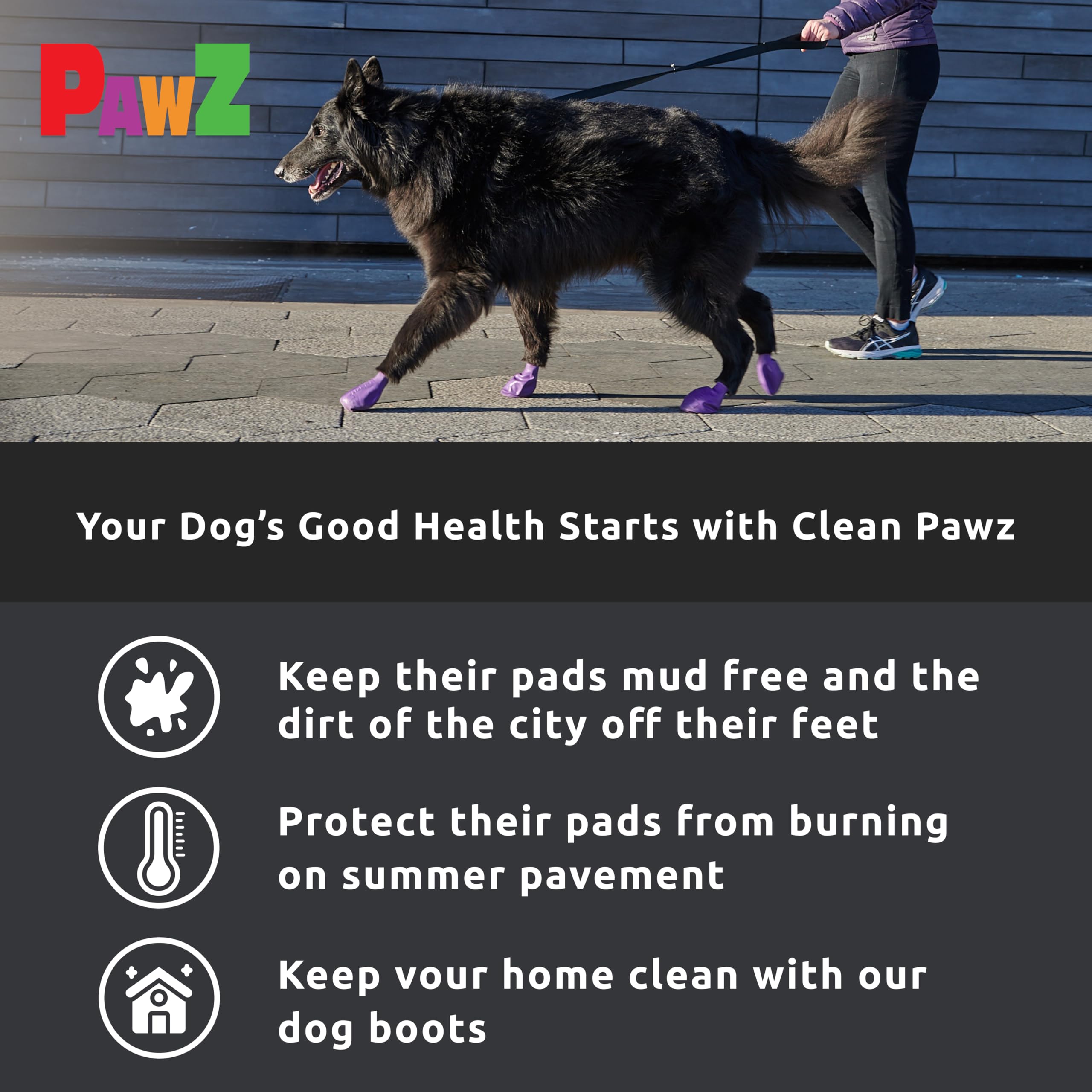 Protex PawZ rubber dog shoes close-up on a paw for rugged outdoor use