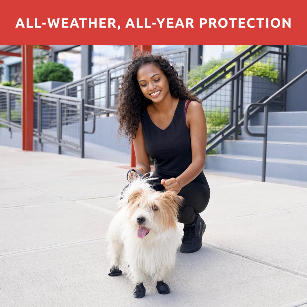 Protex PawZ rubber dog shoes offer durable protection for outdoor adventures.