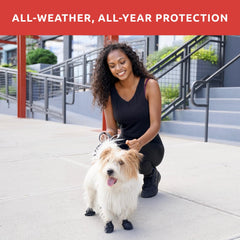 Protex PawZ rubber dog shoes offer durable protection for outdoor adventures.