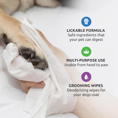 Protex PawZ SaniPaw ingredients closeup highlighting safe, lickable formula.